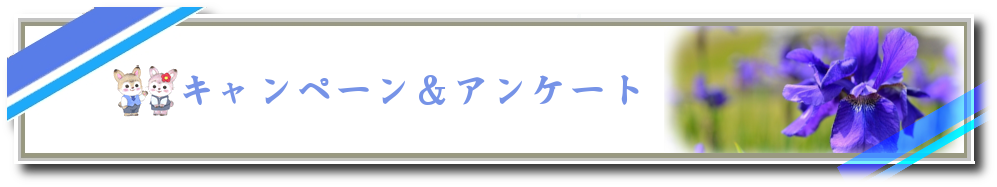 ｷｬﾝﾍﾟｰﾝ&ｱﾝｹｰﾄ